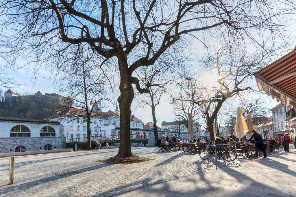 Old Town Apartments Любляна Номер фото