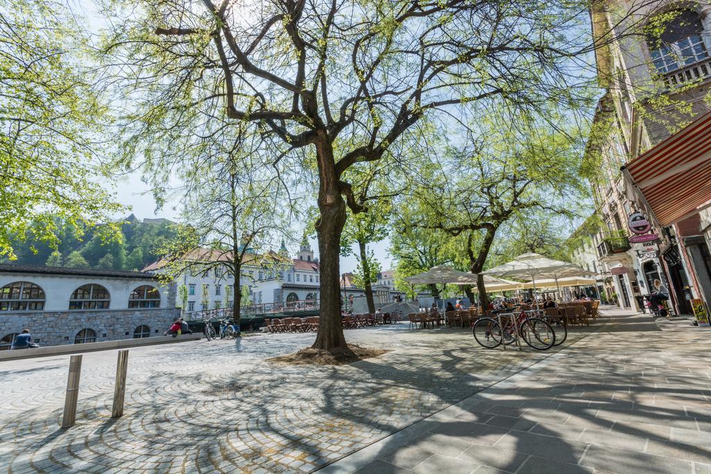 Old Town Apartments Любляна Номер фото